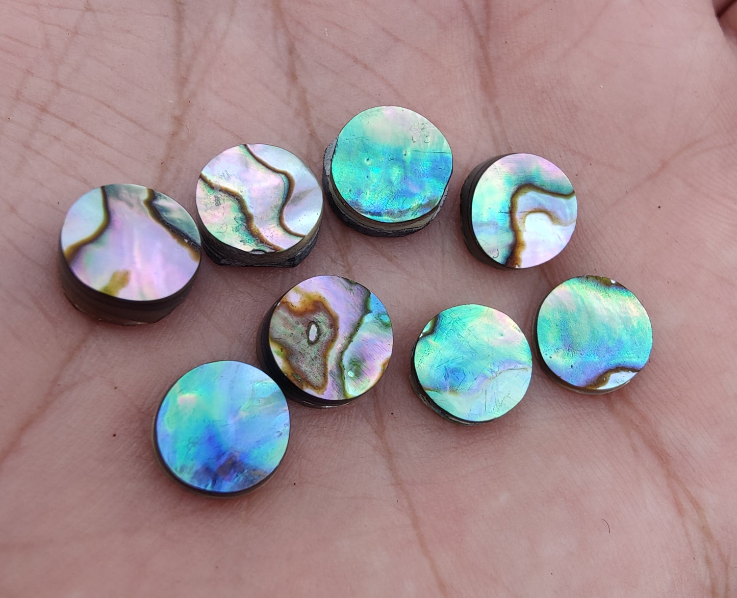 AAA+ QUALITY NATURAL ABALONE SHELL ROUND SHAPE CABOCHON FLAT BACK CALIBRATED WHOLESALE GEMSTONES, ALL SIZES AVAILABLE