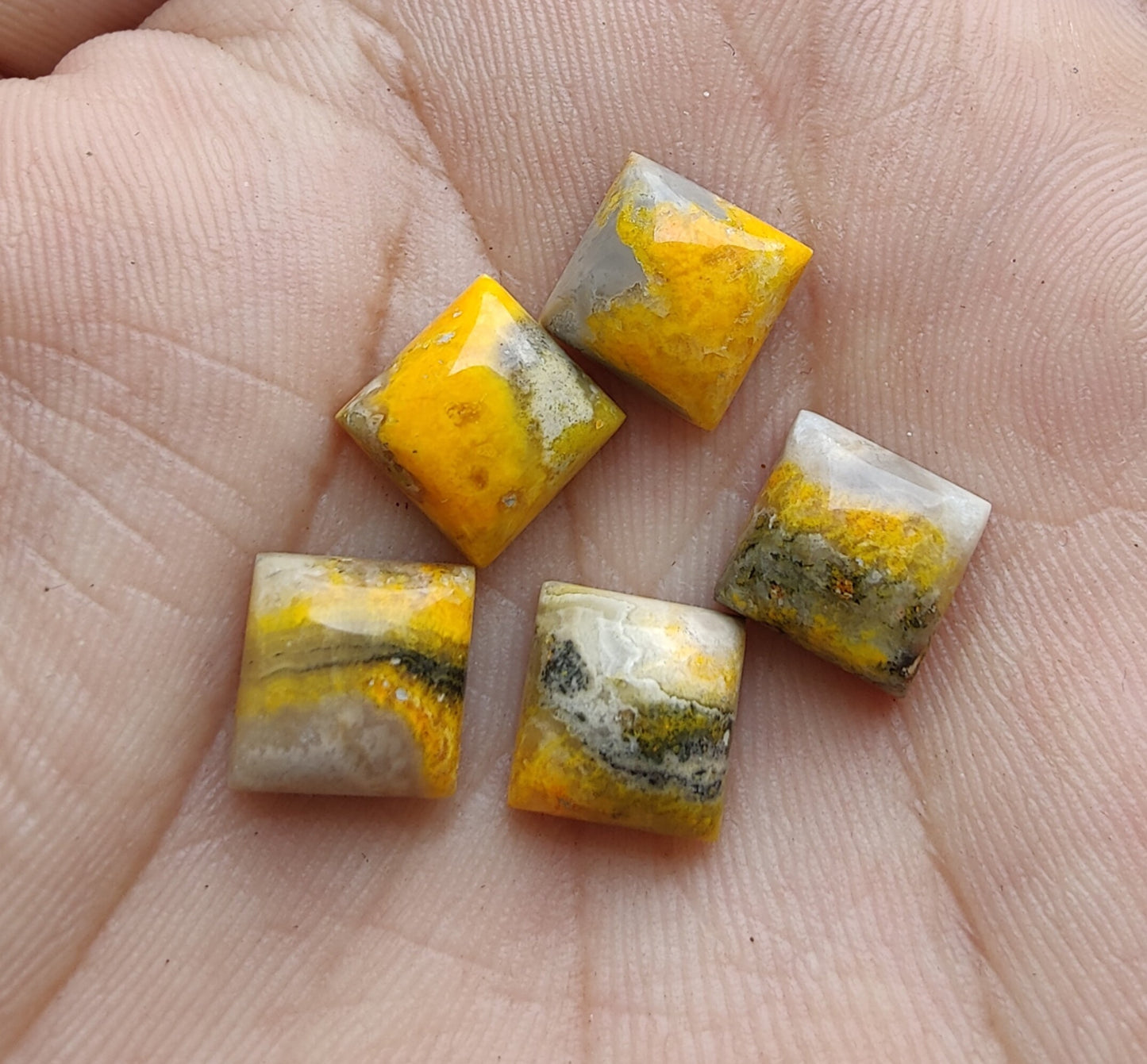 AAA+ QUALITY NATURAL BUMBLE BEE JASPER CABOCHON SQUARE SHAPE FLAT BACK CALIBRATED GEMSTONE, ALL SIZES AVAILABLE