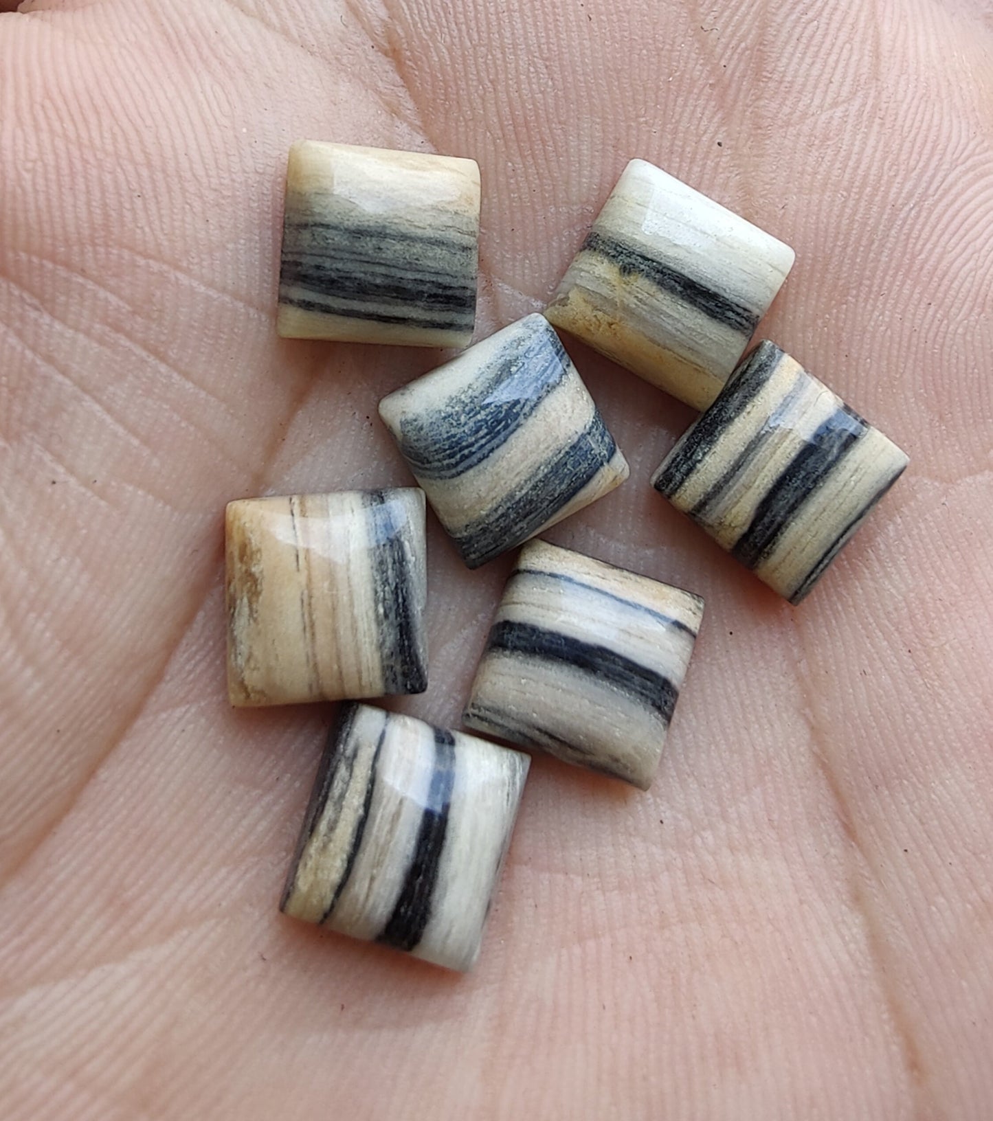 NATURAL ZEBRA JASPER SQUARE SHAPE CABOCHON FLAT BACK CALIBRATED GEMSTONES, ALL SIZES AVAILABLE