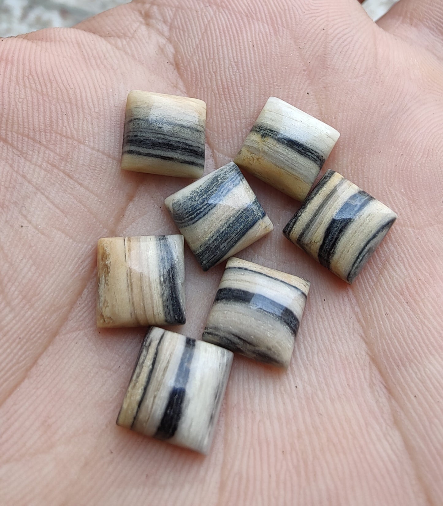 NATURAL ZEBRA JASPER SQUARE SHAPE CABOCHON FLAT BACK CALIBRATED GEMSTONES, ALL SIZES AVAILABLE