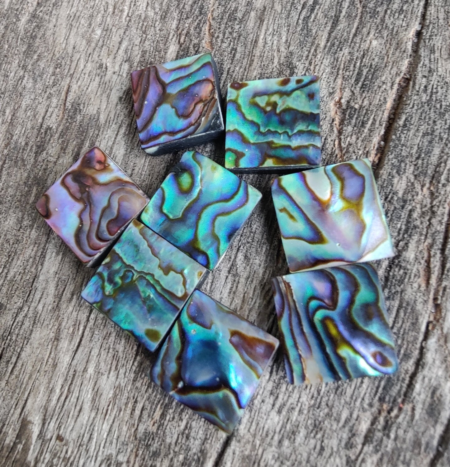 AAA+ QUALITY NATURAL ABALONE SHELL SQUARE SHAPE FLAT BACK CABOCHON CALIBRATED GEMSTONES, ALL SIZES AVAILABLE