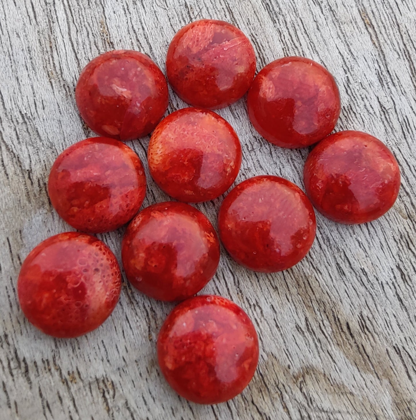 AAA+ QUALITY NATURAL SPONGE CORAL ROUND SHAPE CABOCHON FLAT BACK CALIBRATED GEMSTONES, ALL SIZES AVAILABLE