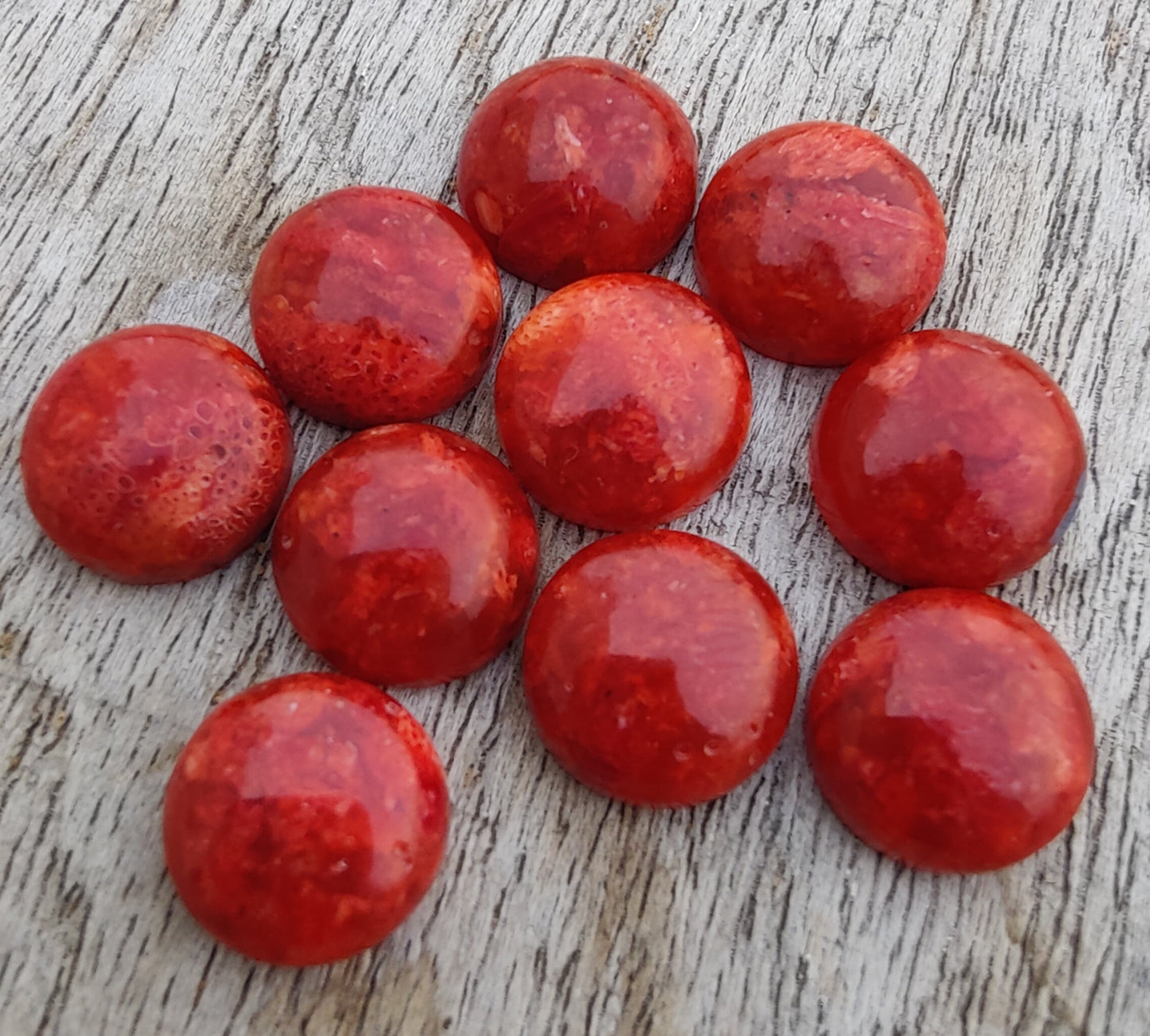 AAA+ QUALITY NATURAL SPONGE CORAL ROUND SHAPE CABOCHON FLAT BACK CALIBRATED GEMSTONES, ALL SIZES AVAILABLE