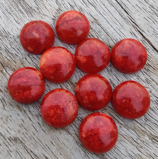 AAA+ QUALITY NATURAL SPONGE CORAL ROUND SHAPE CABOCHON FLAT BACK CALIBRATED GEMSTONES, ALL SIZES AVAILABLE
