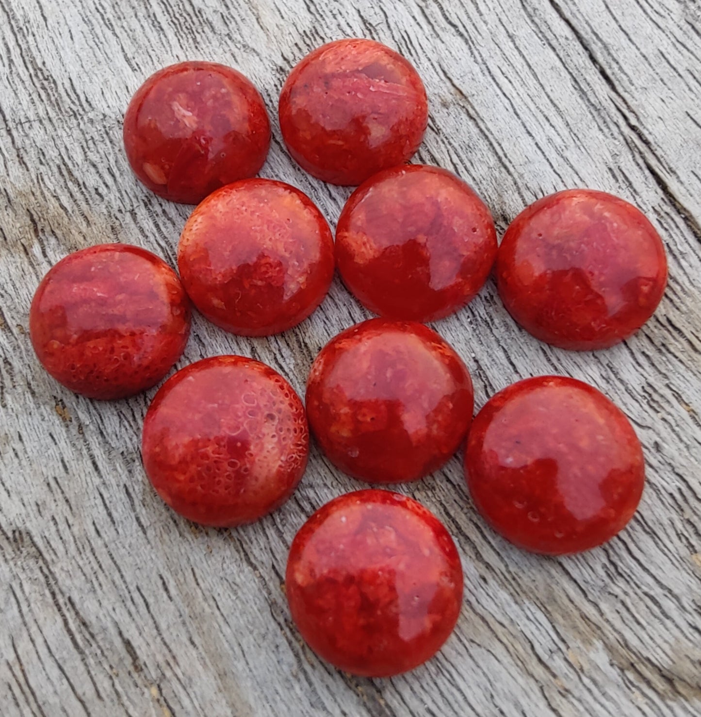 AAA+ QUALITY NATURAL SPONGE CORAL ROUND SHAPE CABOCHON FLAT BACK CALIBRATED GEMSTONES, ALL SIZES AVAILABLE