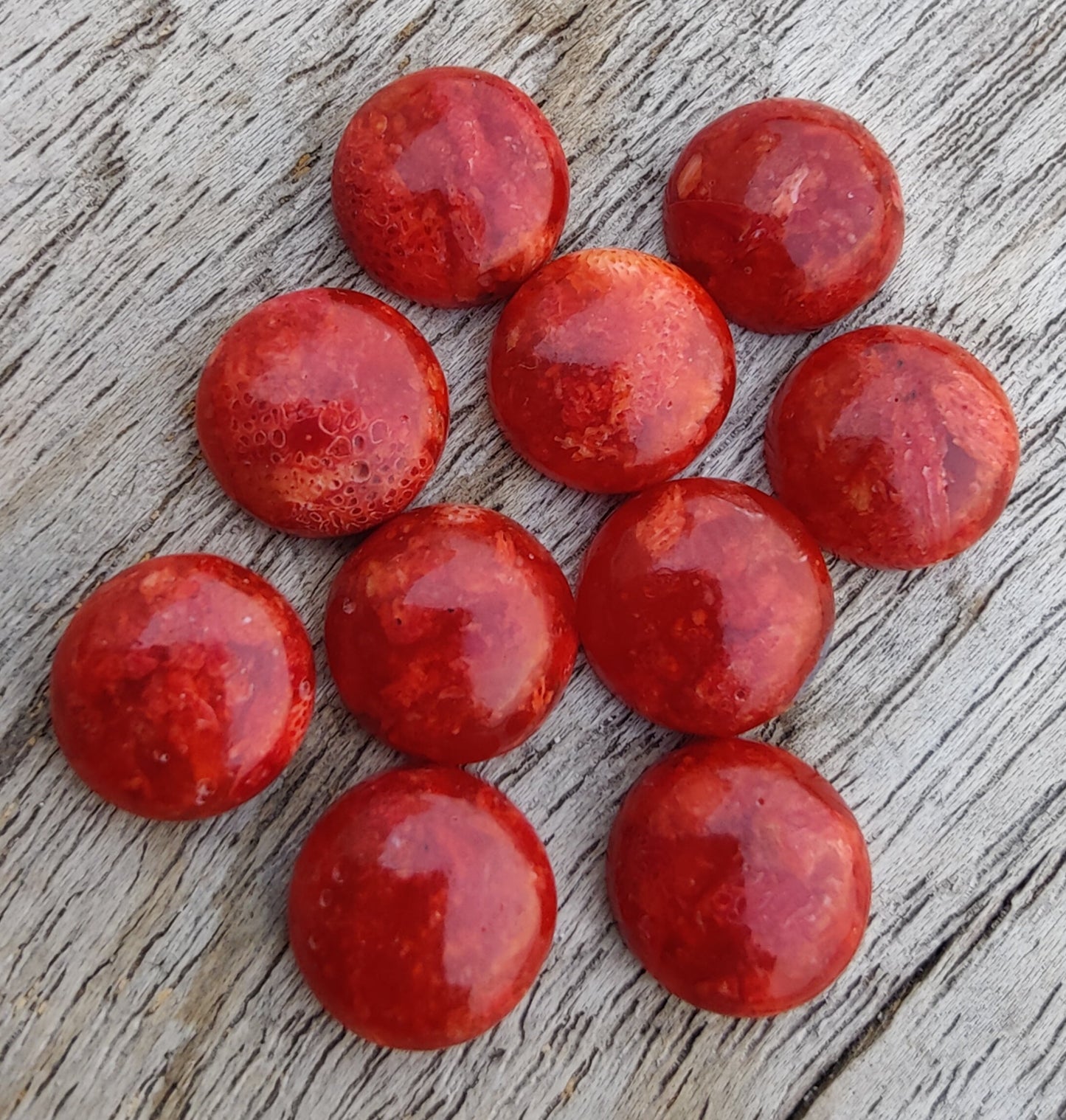 AAA+ QUALITY NATURAL SPONGE CORAL ROUND SHAPE CABOCHON FLAT BACK CALIBRATED GEMSTONES, ALL SIZES AVAILABLE
