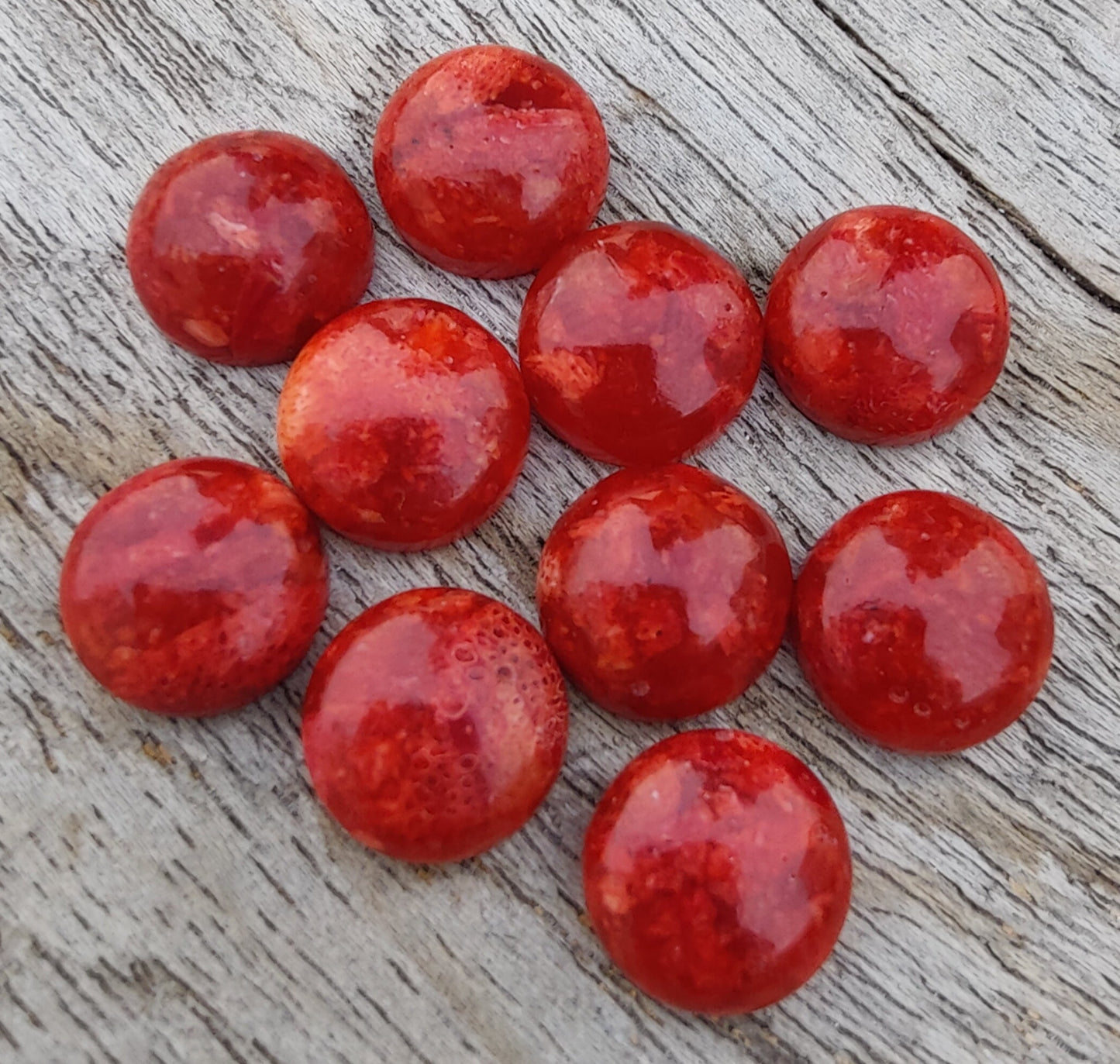 AAA+ QUALITY NATURAL SPONGE CORAL ROUND SHAPE CABOCHON FLAT BACK CALIBRATED GEMSTONES, ALL SIZES AVAILABLE