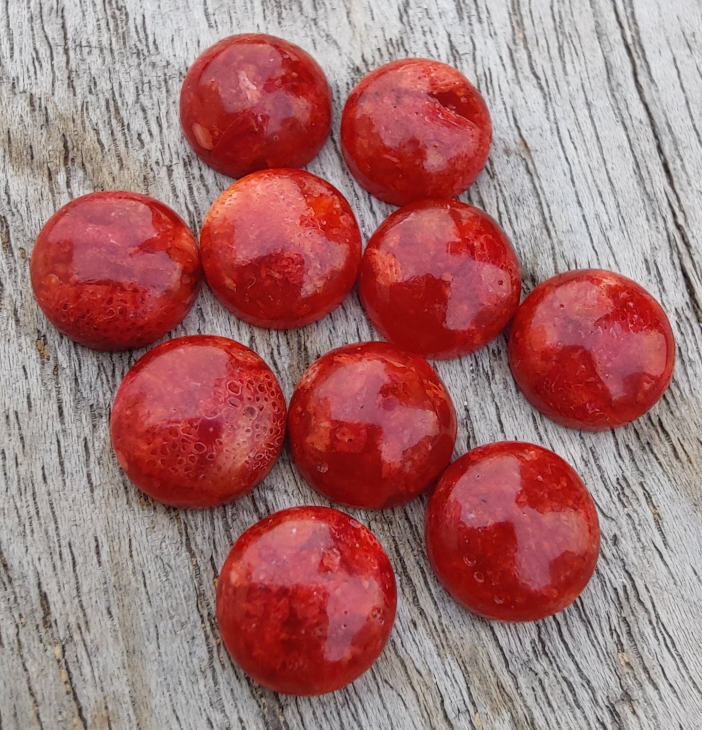 AAA+ QUALITY NATURAL SPONGE CORAL ROUND SHAPE CABOCHON FLAT BACK CALIBRATED GEMSTONES, ALL SIZES AVAILABLE