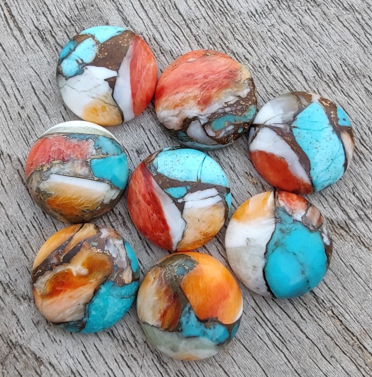 AAA+ QUALITY NATURAL SPINY OYSTER TURQUOISE ROUND SHAPE CABOCHON FLAT BACK CALIBRATED GEMSTONES, ALL SIZES AVAILABLE