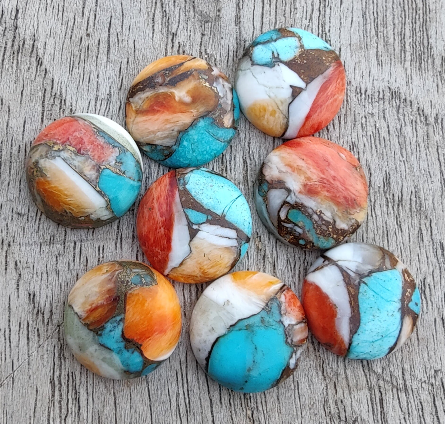AAA+ QUALITY NATURAL SPINY OYSTER TURQUOISE ROUND SHAPE CABOCHON FLAT BACK CALIBRATED GEMSTONES, ALL SIZES AVAILABLE
