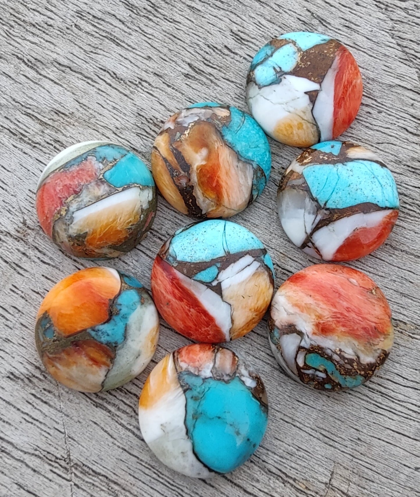 AAA+ QUALITY NATURAL SPINY OYSTER TURQUOISE ROUND SHAPE CABOCHON FLAT BACK CALIBRATED GEMSTONES, ALL SIZES AVAILABLE