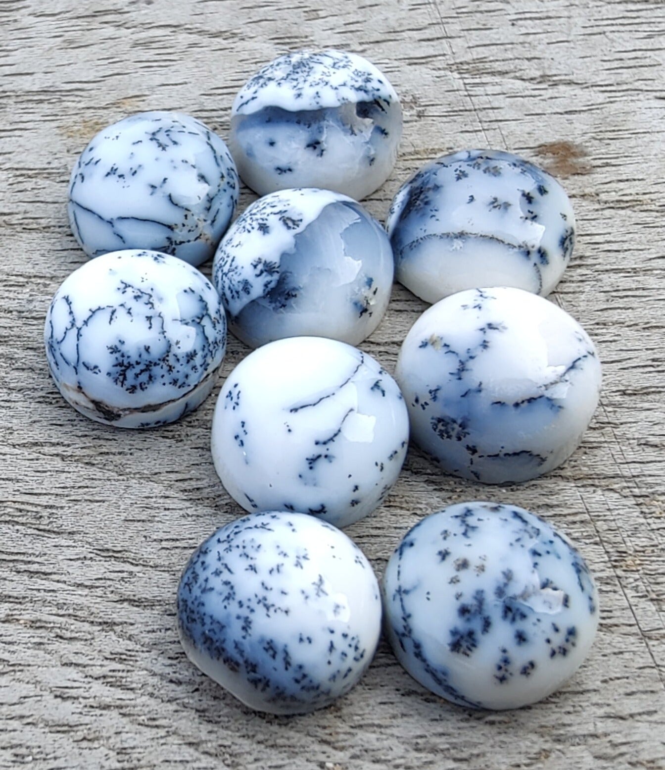 AAA+ QUALITY NATURAL DENDRITIC AGATE ROUND SHAPE CABOCHON FLAT BACK CALIBRATED GEMSTONES, ALL SIZES AVAILABLE