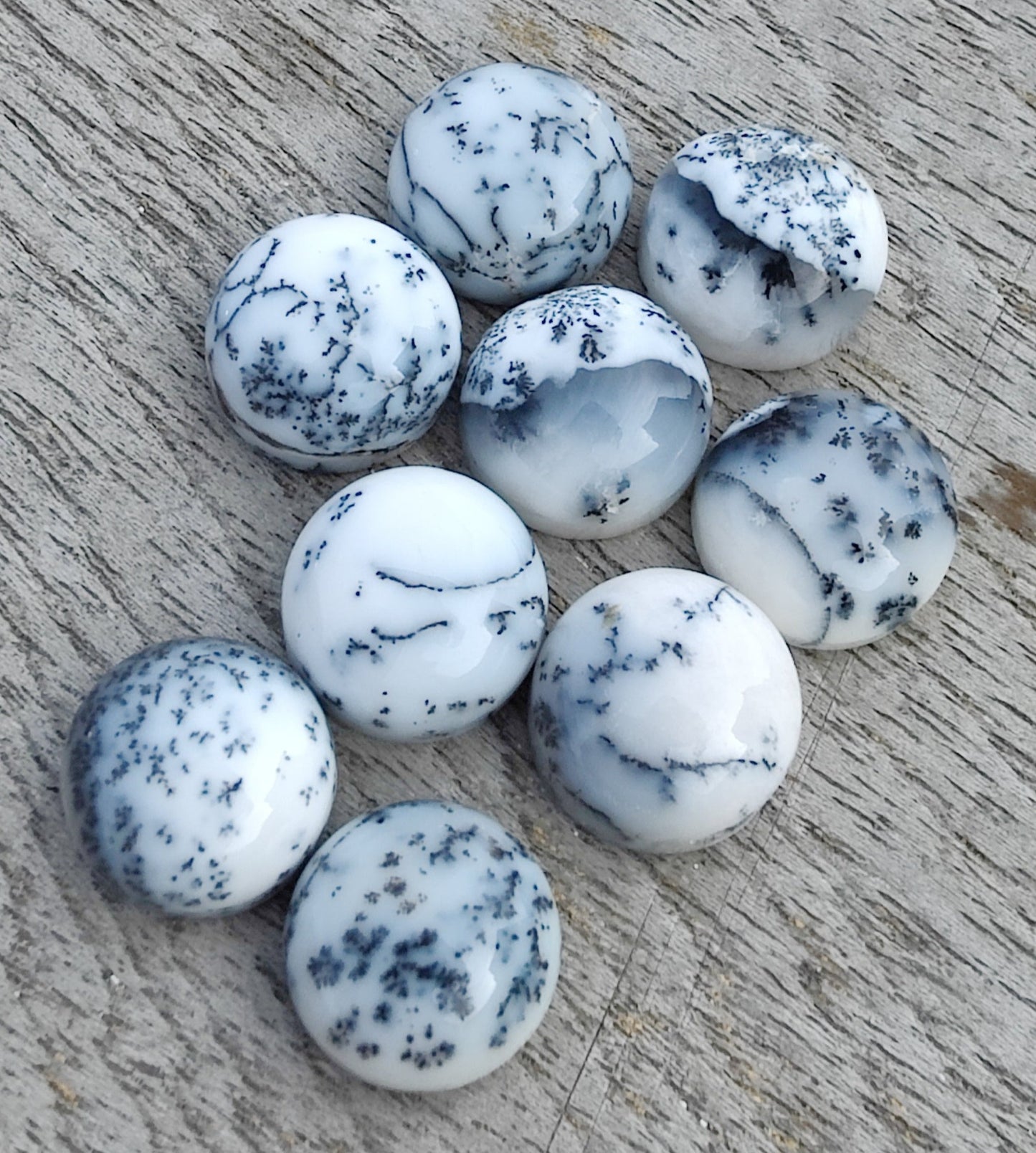 AAA+ QUALITY NATURAL DENDRITIC AGATE ROUND SHAPE CABOCHON FLAT BACK CALIBRATED GEMSTONES, ALL SIZES AVAILABLE