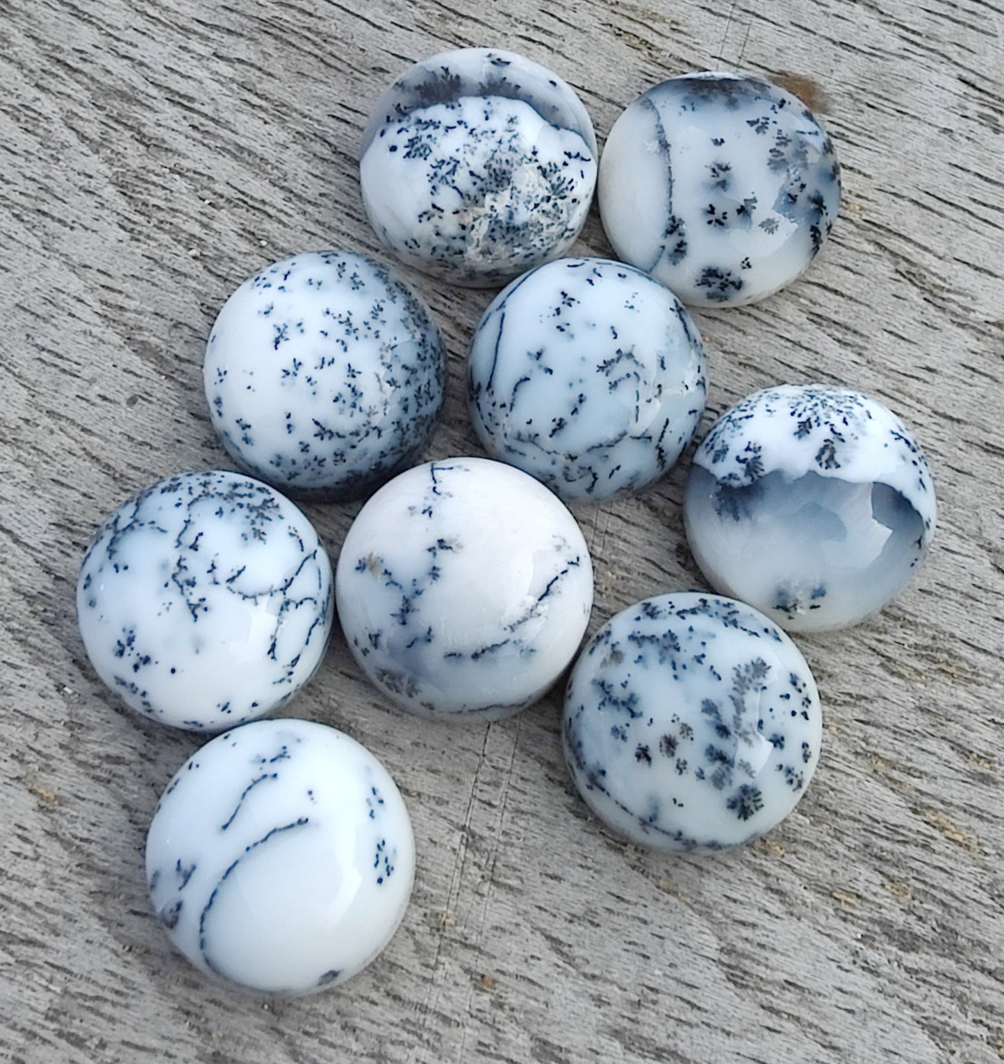 AAA+ QUALITY NATURAL DENDRITIC AGATE ROUND SHAPE CABOCHON FLAT BACK CALIBRATED GEMSTONES, ALL SIZES AVAILABLE