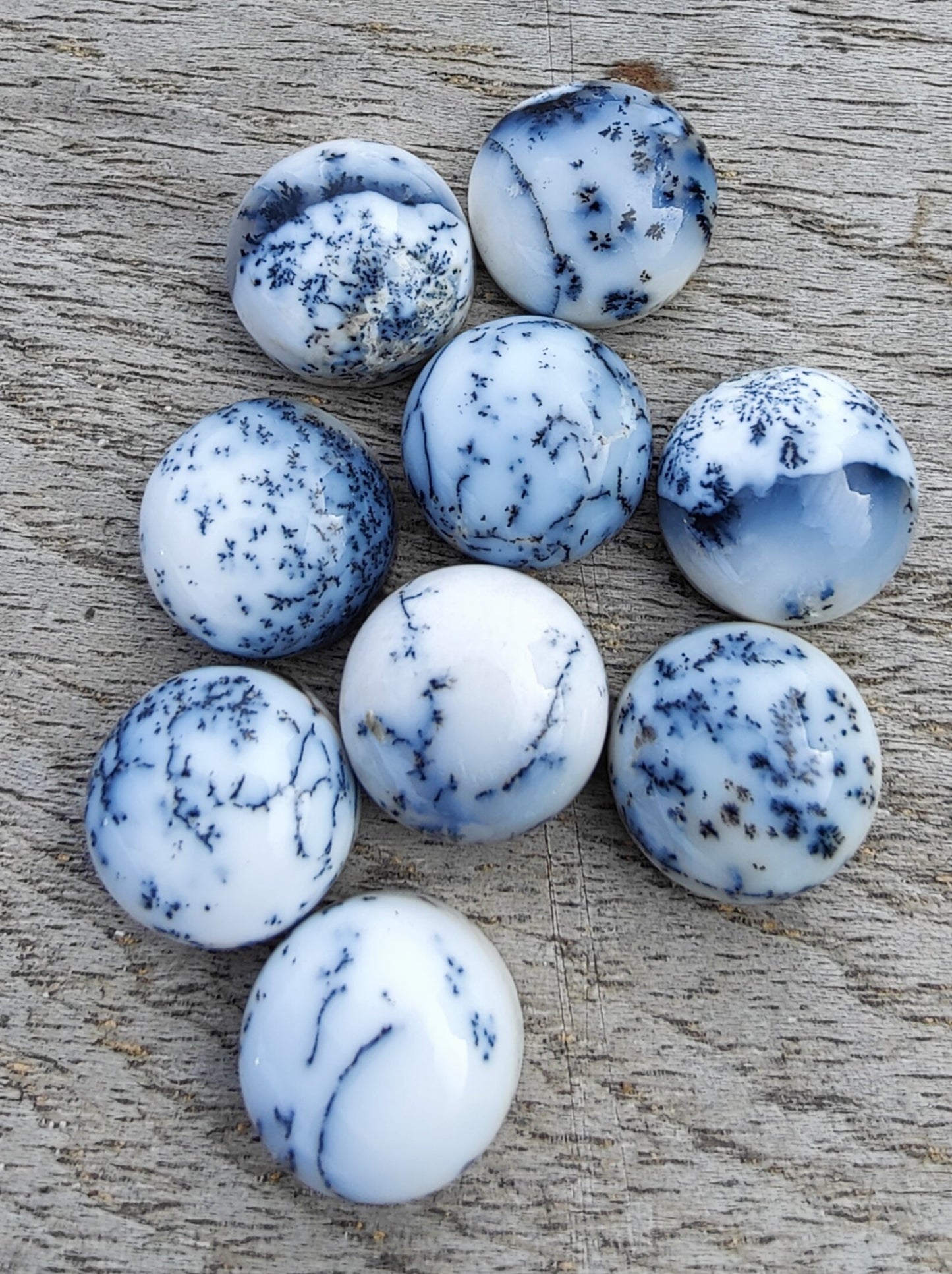 AAA+ QUALITY NATURAL DENDRITIC AGATE ROUND SHAPE CABOCHON FLAT BACK CALIBRATED GEMSTONES, ALL SIZES AVAILABLE