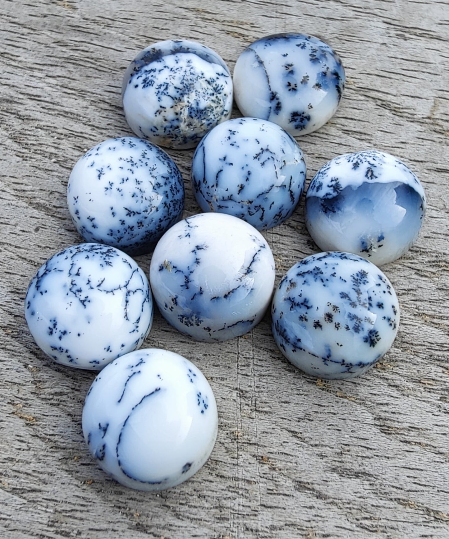 AAA+ QUALITY NATURAL DENDRITIC AGATE ROUND SHAPE CABOCHON FLAT BACK CALIBRATED GEMSTONES, ALL SIZES AVAILABLE