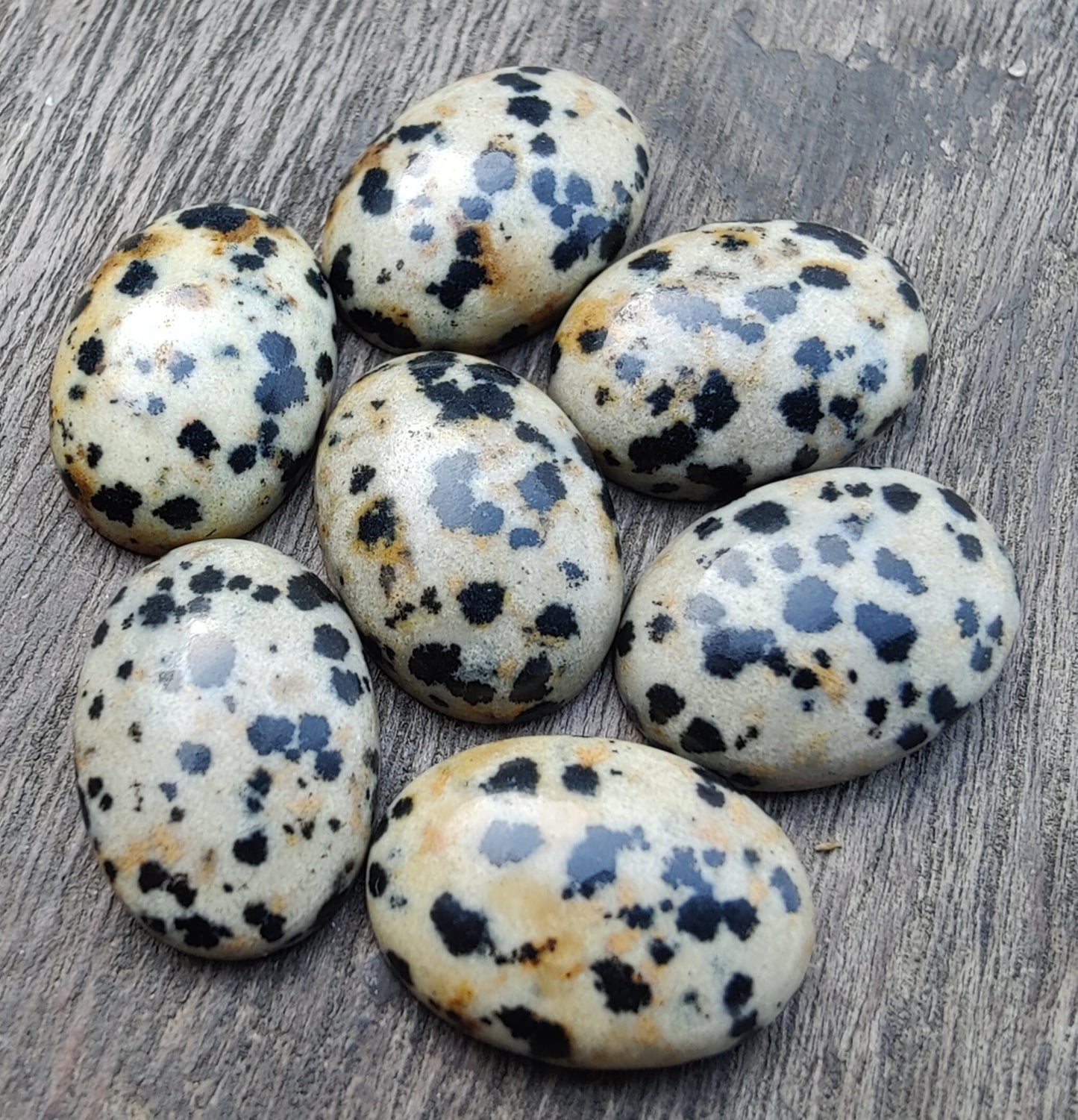 AAA+ QUALITY NATURAL DALMATIAN OVAL SHAPE CABOCHON FLAT BACK CALIBRATED WHOLESALE GEMSTONES, ALL SIZES AVAILABLE