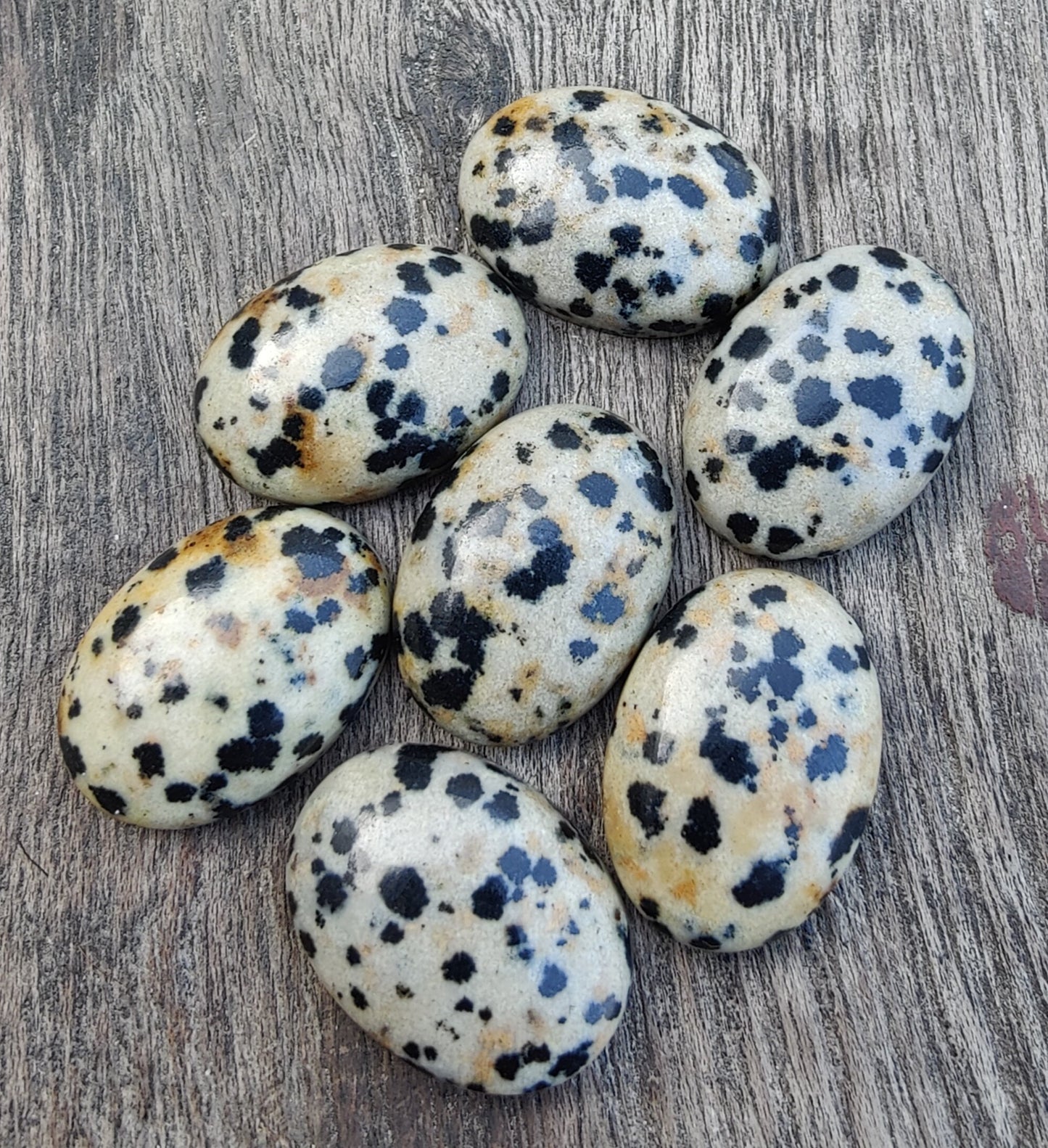 AAA+ QUALITY NATURAL DALMATIAN OVAL SHAPE CABOCHON FLAT BACK CALIBRATED WHOLESALE GEMSTONES, ALL SIZES AVAILABLE