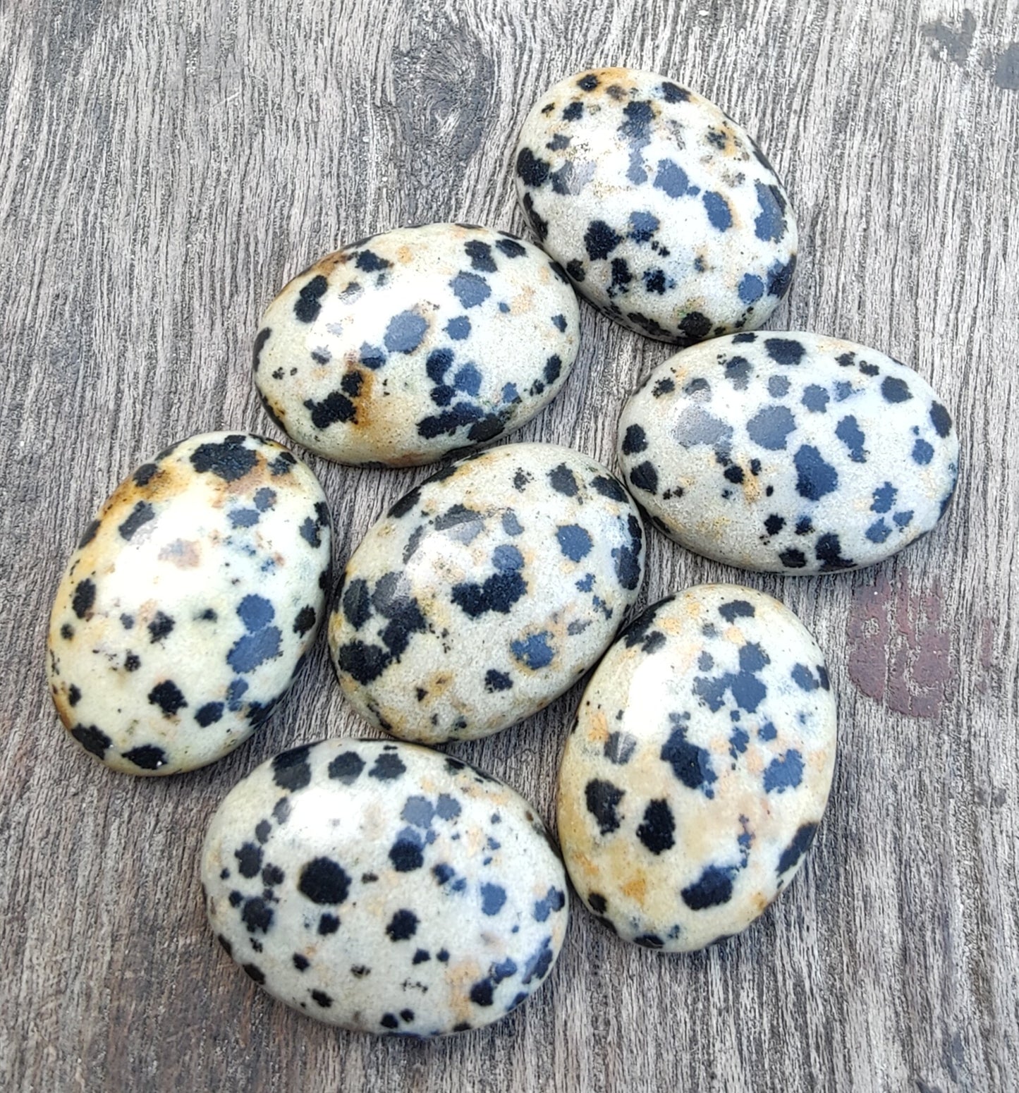 AAA+ QUALITY NATURAL DALMATIAN OVAL SHAPE CABOCHON FLAT BACK CALIBRATED WHOLESALE GEMSTONES, ALL SIZES AVAILABLE