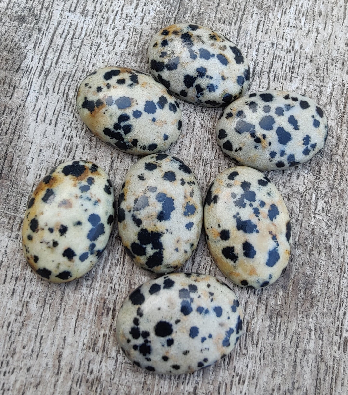 AAA+ QUALITY NATURAL DALMATIAN OVAL SHAPE CABOCHON FLAT BACK CALIBRATED WHOLESALE GEMSTONES, ALL SIZES AVAILABLE