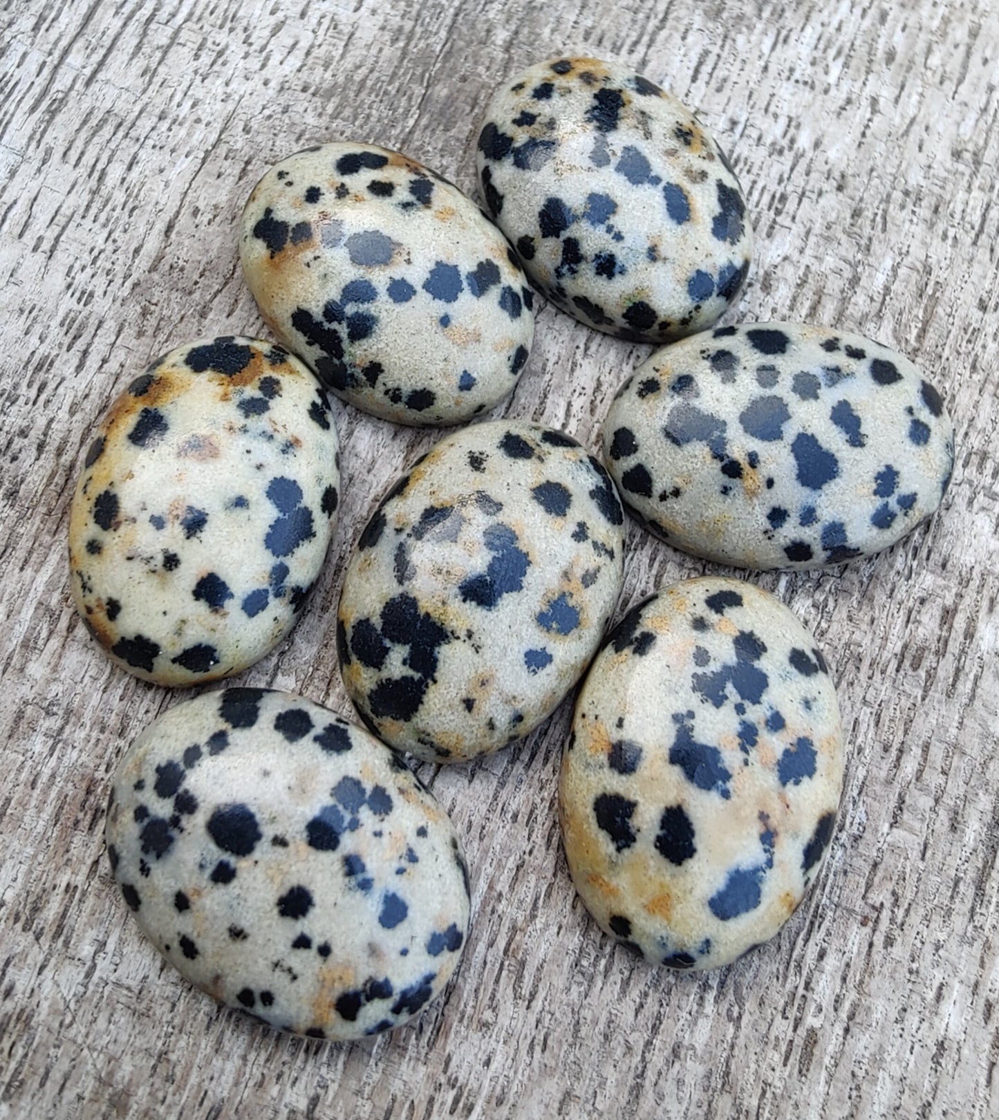AAA+ QUALITY NATURAL DALMATIAN OVAL SHAPE CABOCHON FLAT BACK CALIBRATED WHOLESALE GEMSTONES, ALL SIZES AVAILABLE