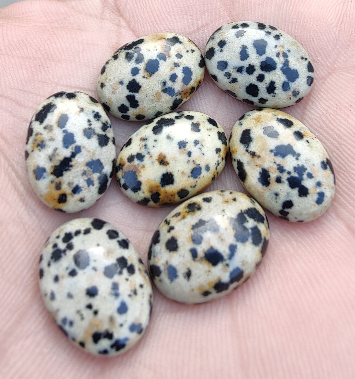 AAA+ QUALITY NATURAL DALMATIAN OVAL SHAPE CABOCHON FLAT BACK CALIBRATED WHOLESALE GEMSTONES, ALL SIZES AVAILABLE