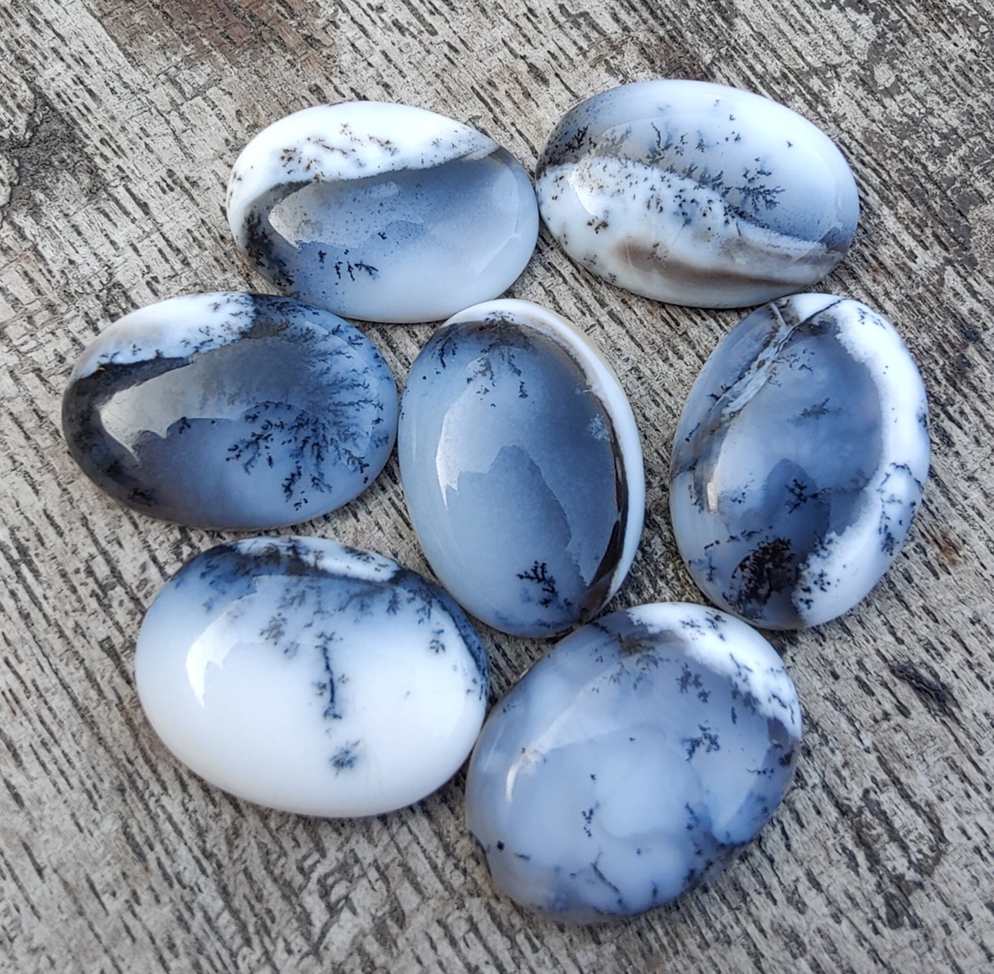 NATURAL DENDRITIC AGATE OVAL SHAPE CABOCHON FLAT BACK AAA+ QUALITY CALIBRATED LOOSE GEMSTONES, ALL SIZES AVAILABLE