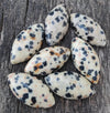 AAA+ Quality Natural Dalmatian Jasper Marquise Shape Cabochon Flat Back Calibrated Loose Gemstones, All Sizes Available