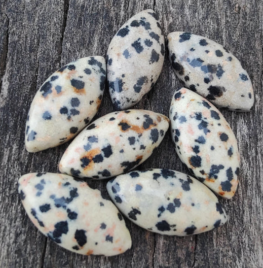 AAA+ Quality Natural Dalmatian Jasper Marquise Shape Cabochon Flat Back Calibrated Loose Gemstones, All Sizes Available