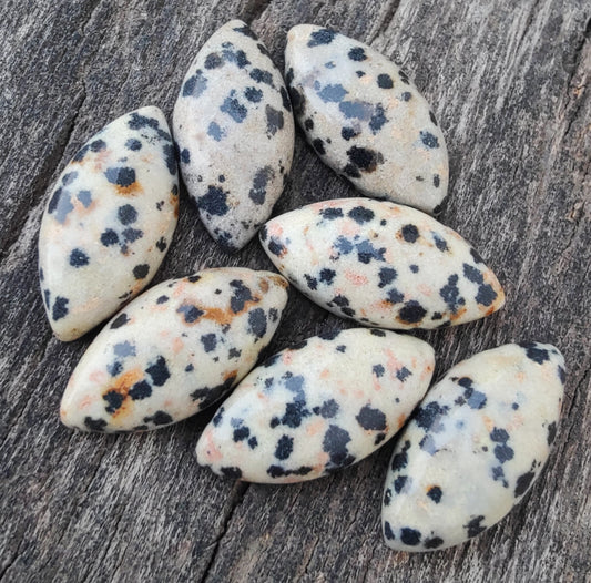 AAA+ Quality Natural Dalmatian Jasper Marquise Shape Cabochon Flat Back Calibrated Loose Gemstones, All Sizes Available