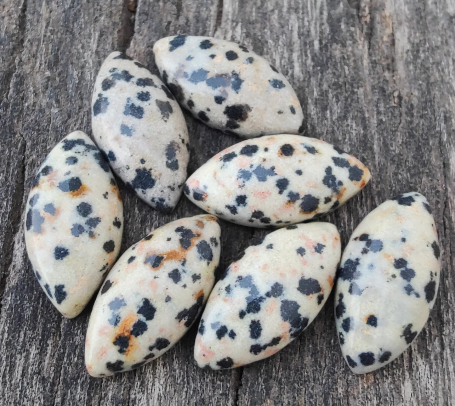 AAA+ Quality Natural Dalmatian Jasper Marquise Shape Cabochon Flat Back Calibrated Loose Gemstones, All Sizes Available