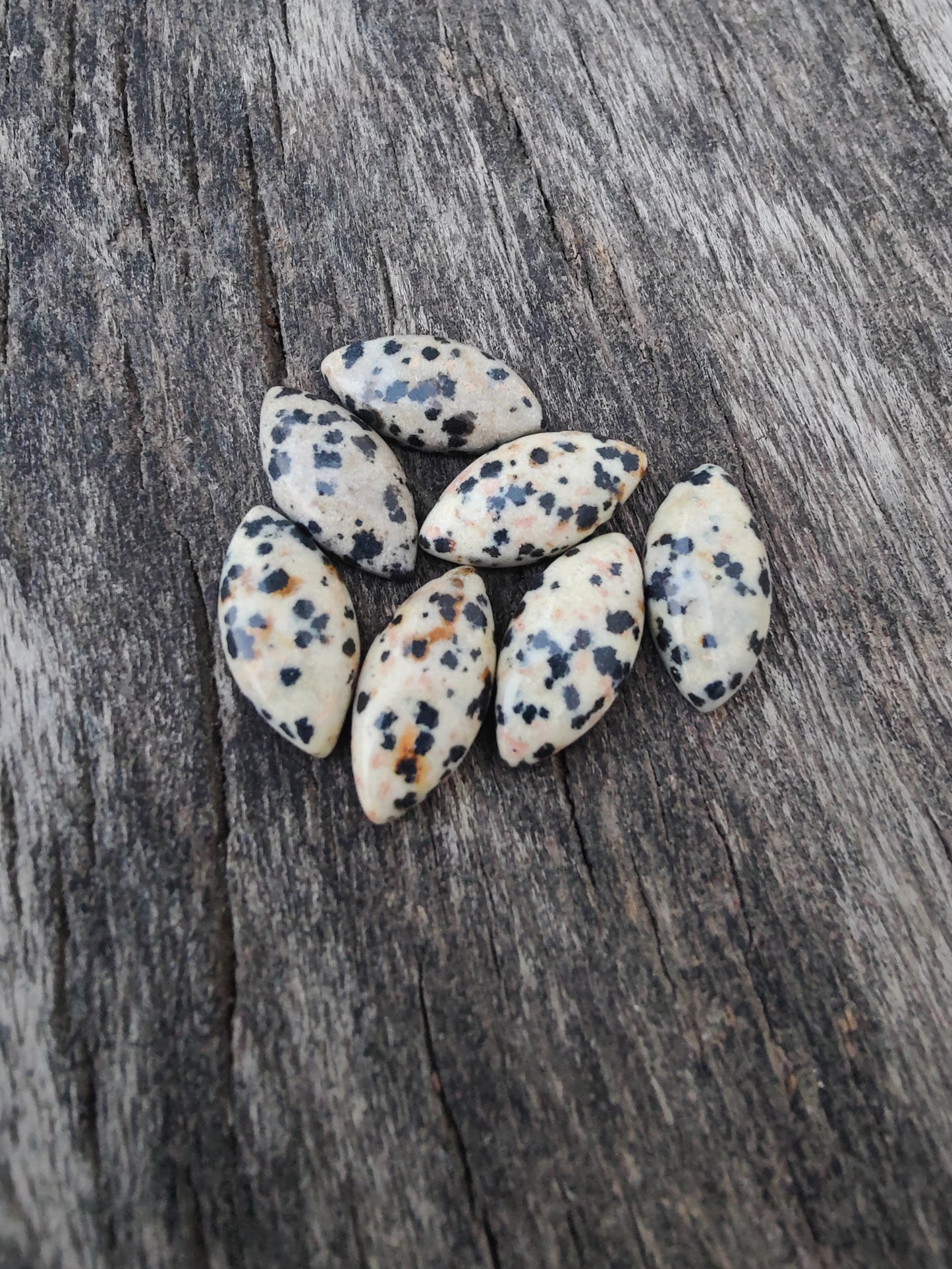 AAA+ Quality Natural Dalmatian Jasper Marquise Shape Cabochon Flat Back Calibrated Loose Gemstones, All Sizes Available