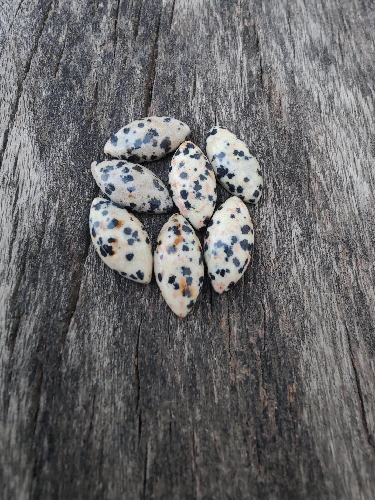 AAA+ Quality Natural Dalmatian Jasper Marquise Shape Cabochon Flat Back Calibrated Loose Gemstones, All Sizes Available
