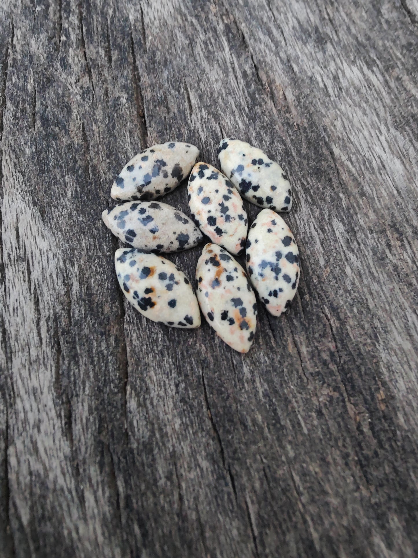 AAA+ Quality Natural Dalmatian Jasper Marquise Shape Cabochon Flat Back Calibrated Loose Gemstones, All Sizes Available