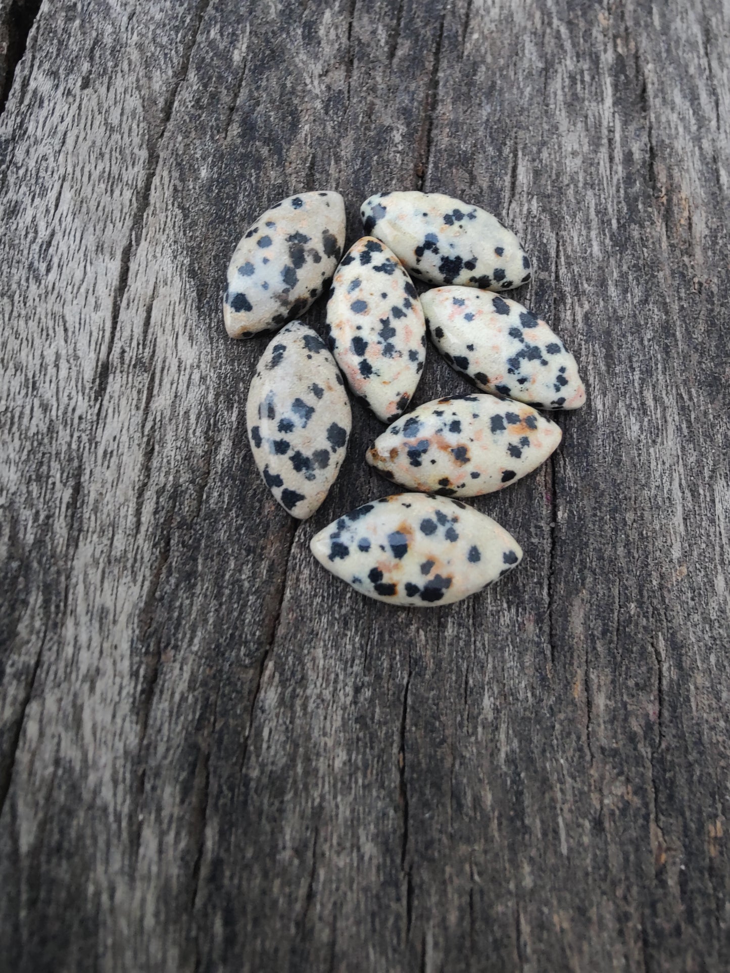 AAA+ Quality Natural Dalmatian Jasper Marquise Shape Cabochon Flat Back Calibrated Loose Gemstones, All Sizes Available