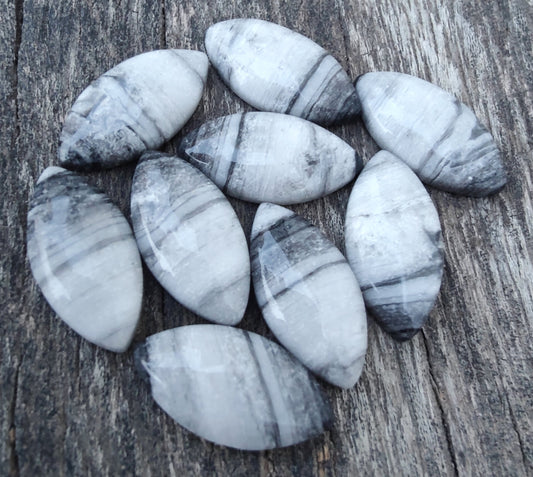 AAA+ Quality Natural Zebra Jasper Marquise Shape Cabochon Flat Back Calibrated Loose Gemstones, All Sizes Available (Copy)