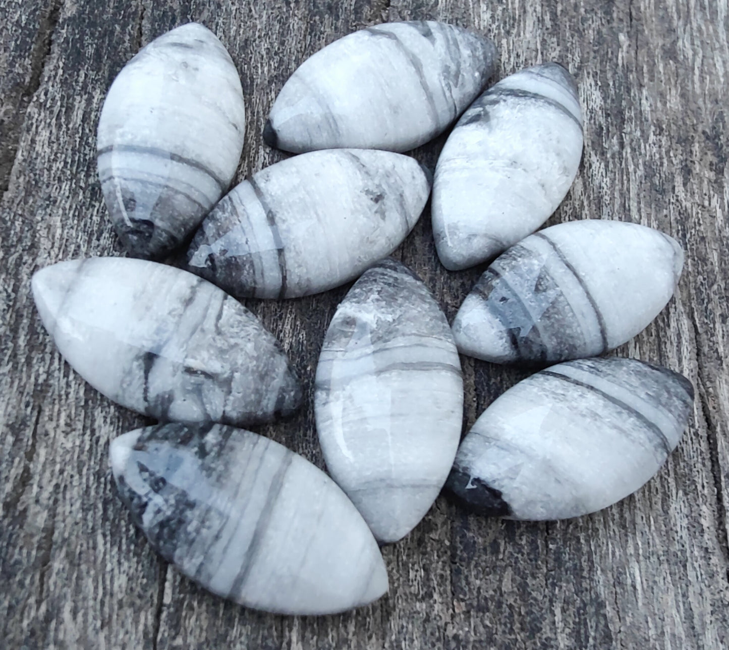 AAA+ Quality Natural Zebra Jasper Marquise Shape Cabochon Flat Back Calibrated Loose Gemstones, All Sizes Available (Copy)