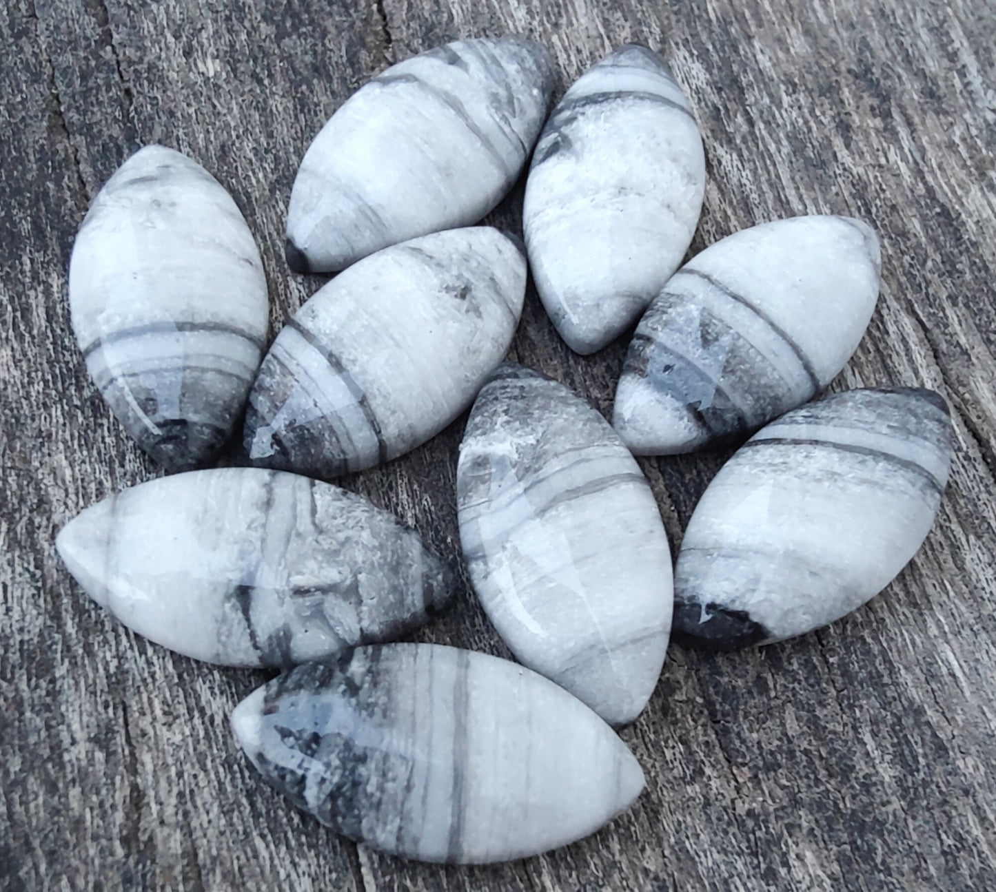 AAA+ Quality Natural Zebra Jasper Marquise Shape Cabochon Flat Back Calibrated Loose Gemstones, All Sizes Available (Copy)
