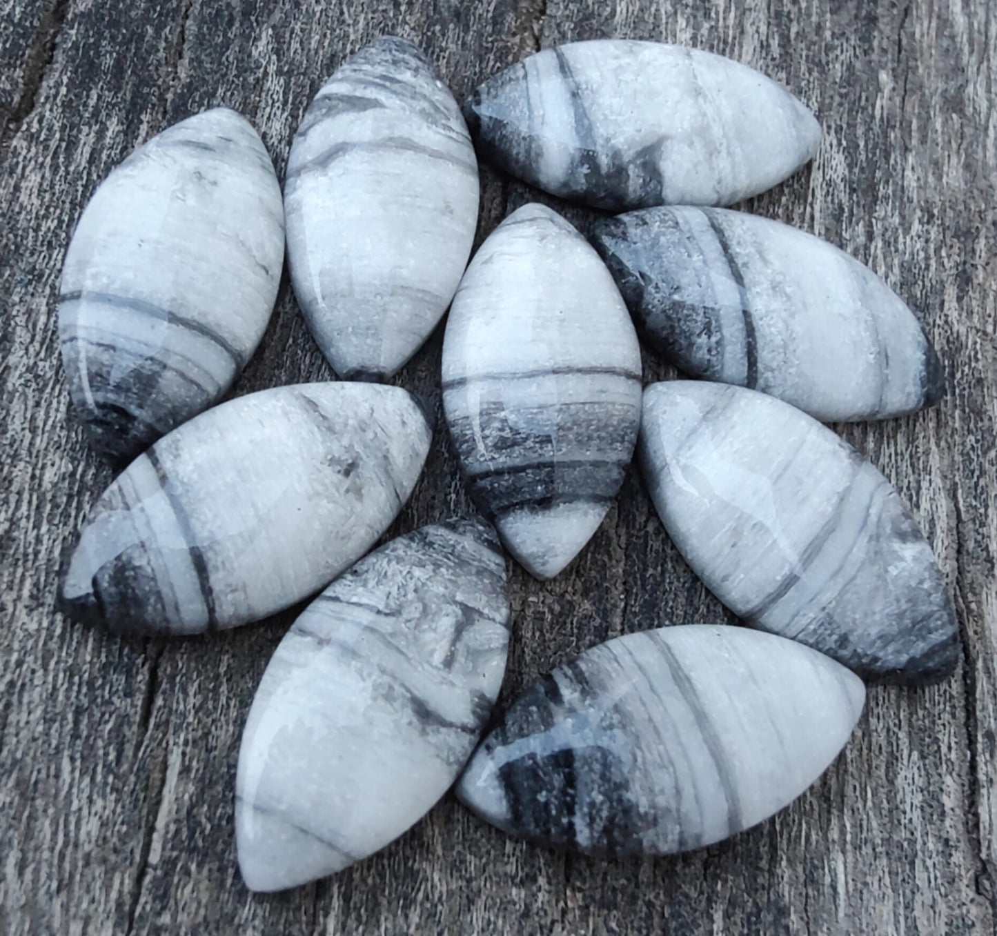 AAA+ Quality Natural Zebra Jasper Marquise Shape Cabochon Flat Back Calibrated Loose Gemstones, All Sizes Available (Copy)