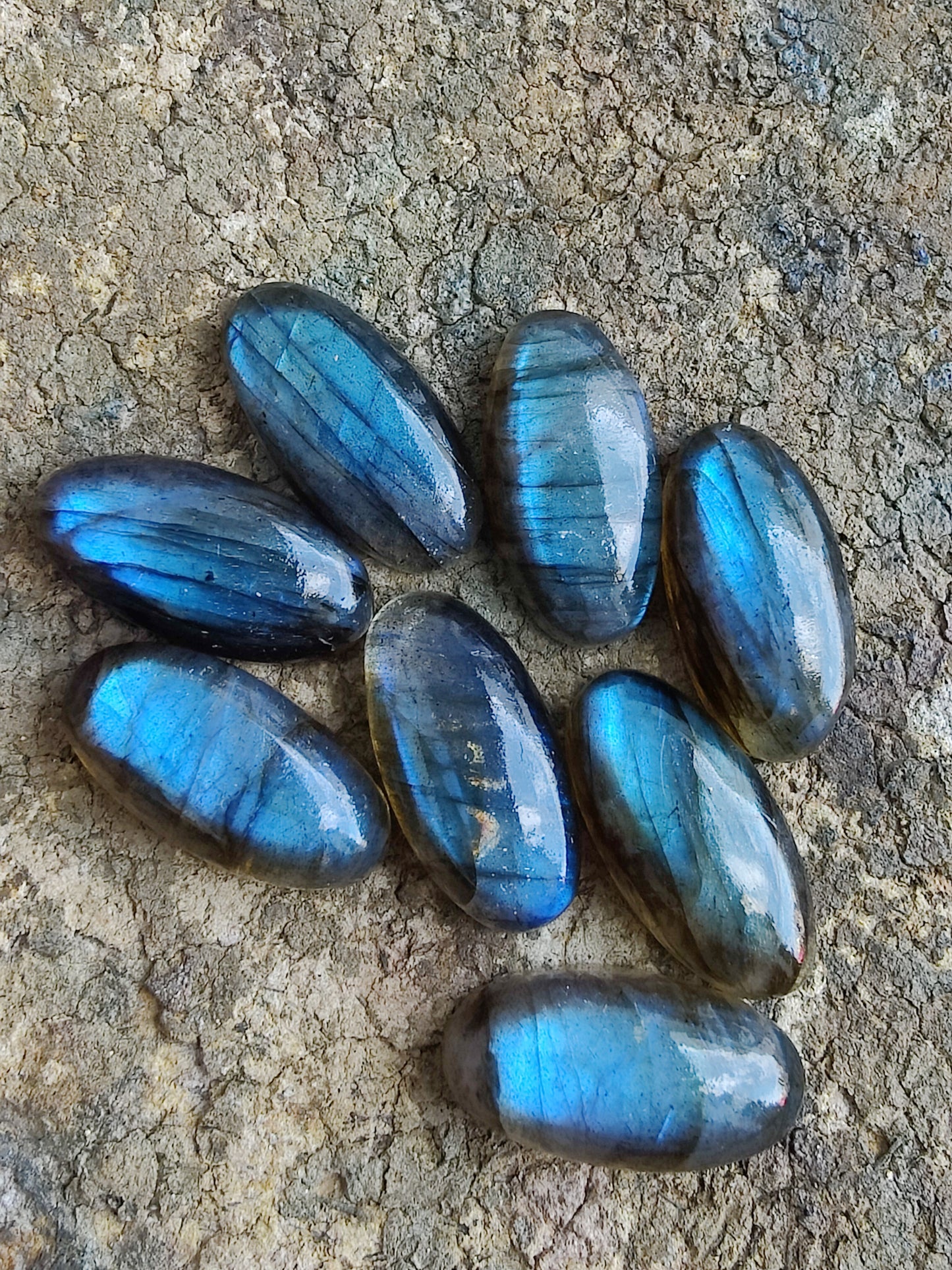 AAA+ QUALITY NATURAL LABRADORITE BIG OVAL SHAPE CABOCHON FLAT BACK CALIBRATED BEDA SHAPE GEMSTONES, ALL SIZES AVAILABLE