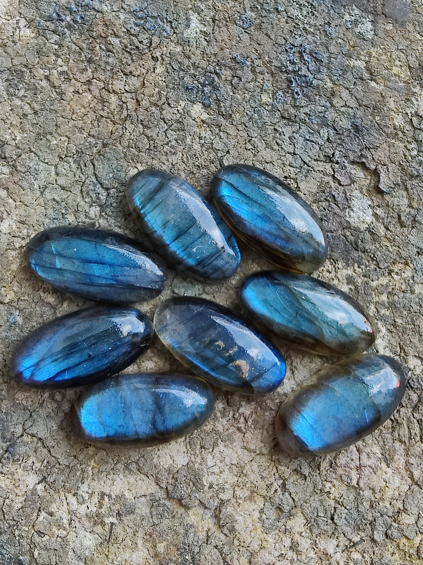 AAA+ QUALITY NATURAL LABRADORITE BIG OVAL SHAPE CABOCHON FLAT BACK CALIBRATED BEDA SHAPE GEMSTONES, ALL SIZES AVAILABLE