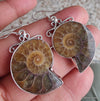 925 SOLID STERLING SILVER NATURAL AMMONITE FOSSIL GEMSTONE HOOK EARRING