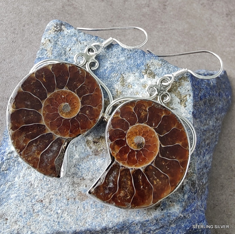925 SOLID STERLING SILVER NATURAL AMMONITE FOSSIL GEMSTONE HOOK EARRING