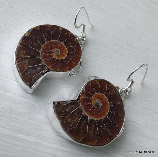 925 SOLID STERLING SILVER NATURAL AMMONITE FOSSIL GEMSTONE HOOK EARRING