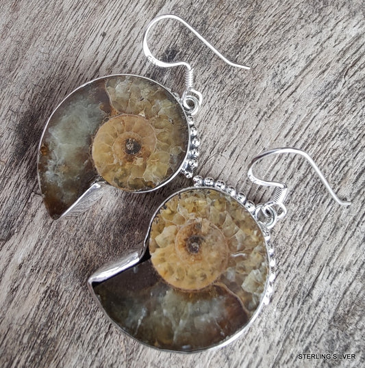 925 SOLID STERLING SILVER NATURAL AMMONITE FOSSIL GEMSTONE HOOK EARRING