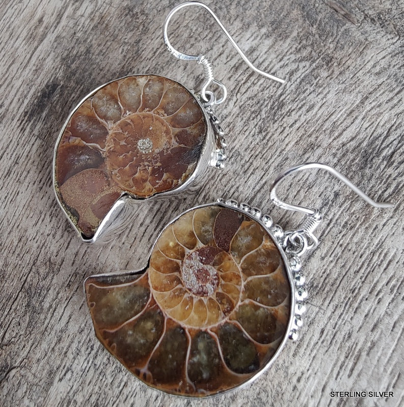 925 SOLID STERLING SILVER NATURAL AMMONITE FOSSIL GEMSTONE HOOK EARRING