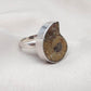 Ammonite Fossil Ring: 925 Sterling Silver Boho Statement Jewelry