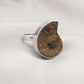 Ammonite Fossil Ring: 925 Sterling Silver Boho Statement Jewelry