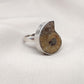 Ammonite Fossil Ring: 925 Sterling Silver Boho Statement Jewelry