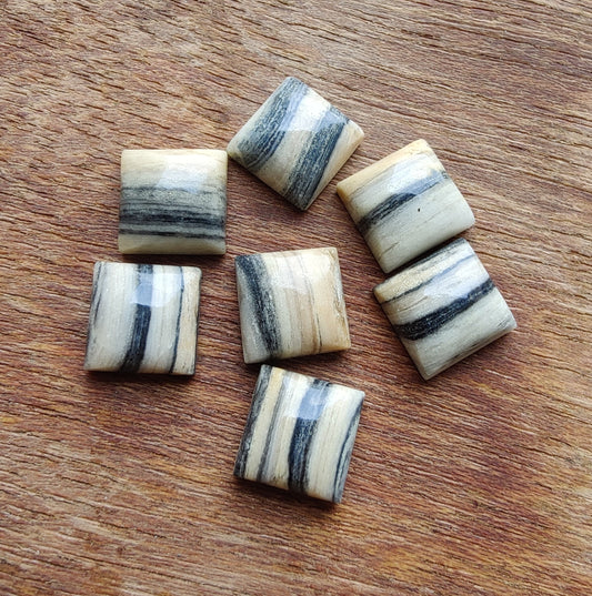 NATURAL ZEBRA JASPER SQUARE SHAPE CABOCHON FLAT BACK CALIBRATED GEMSTONES, ALL SIZES AVAILABLE